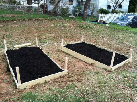 first raised bed