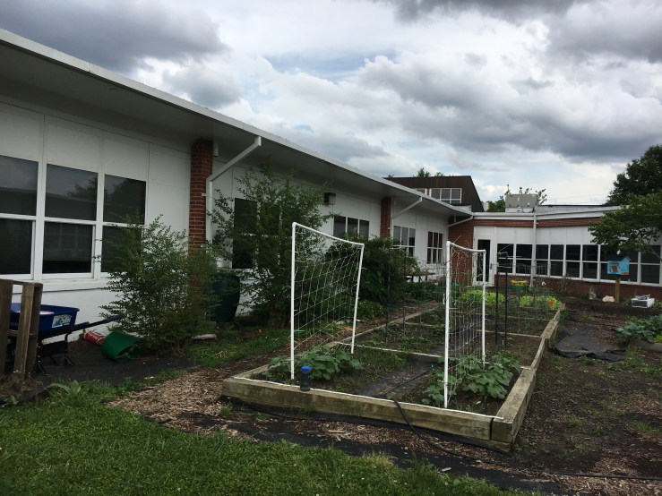 RBs at school garden